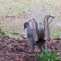 Photos de John Cowan