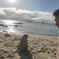 Marco Pelaez的照片