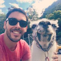 Marcelo Ramires的照片