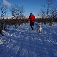 Johan Soderqvist's Photo