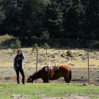 MARIA FERNANDA SALAS的照片