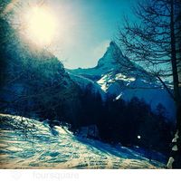 Stefanie Wirth的照片