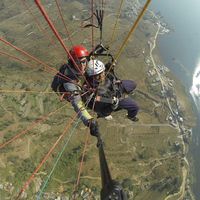 Mushfiqur Rahman's Photo