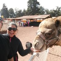 Ale Villanueva Mendoza's Photo