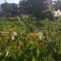 Burn Capitalism's Photo