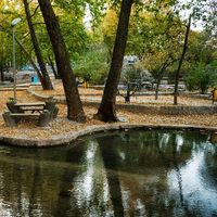 Photos de atefeh saminfar