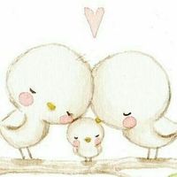 Fotos de Anda Lapiña