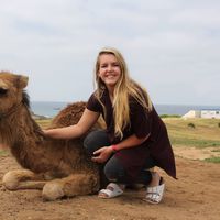 Taylor Cone的照片