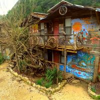 Kadirs Tree Houses Olympos的照片