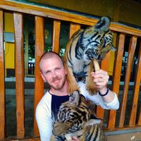 Mixail Toporov的照片