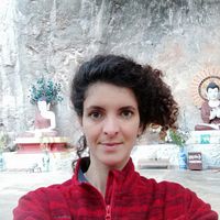 Camille Fellah的照片