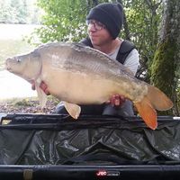 Markus Wild的照片