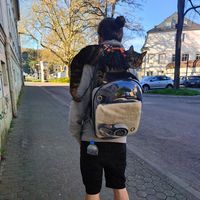 Babylon system's Photo