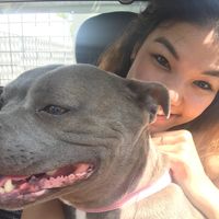 Natascha Laksono's Photo