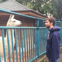 Ahmed Hasafy's Photo