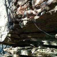 Greggory Wiley的照片