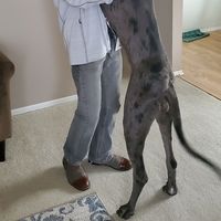 Fotos de Jeffrey Rakowski