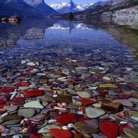 Mindy Williams's Photo