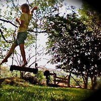 Ivery Vinesce的照片