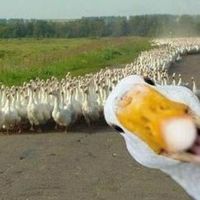 David Pascual Mora's Photo