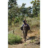 Claire Macdonald's Photo