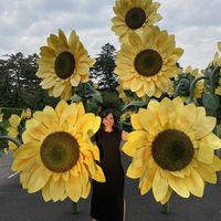 Letícia da Silva's Photo