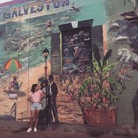 Gamze Korulacak的照片