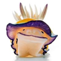 Fotos von Dario Tutino