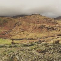 Yoana Docheva的照片