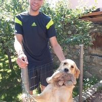 Stefan Raychev的照片