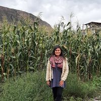 Monica Alfaro Bouroncle的照片