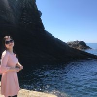 Violet Potato的照片