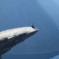 Photos de Nossbaur .