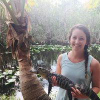 Cathy Fletcher的照片