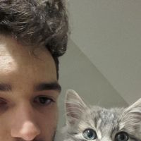 Corentin Cara's Photo