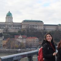 Ana Rita Carneiro的照片