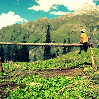 Tal Kulikovsky's Photo