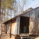 CT Meetup #124 - Maple Fest!'s picture