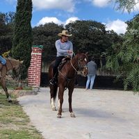 Javier Nuñez的照片