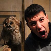 Le foto di Matteo Rossi