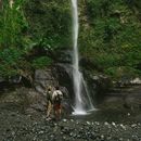 Napuru waterfall's's picture