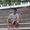 Ujjawal Sharma's Photo