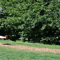 sassi-2005@Web.de Susanne Schein的照片