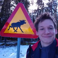 Kristóf Molnár的照片