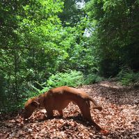 joan and lorena的照片