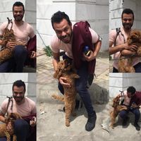 Fotos von Mohamed Tayea