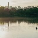 Bike Ride Faria Lima to Parque Ibirapuera's picture