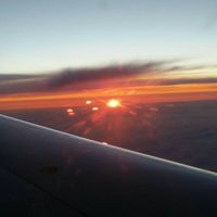 Thomas Toronja-Poussin的照片