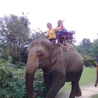 Debbie Karstu的照片