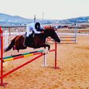 Visiting Nablus Horse Riding Club 的照片
